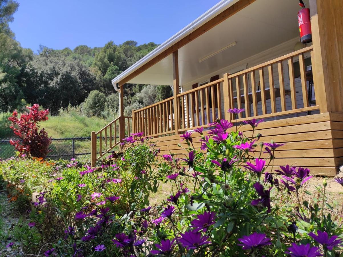 קאללה Camping Roca Grossa מראה חיצוני תמונה