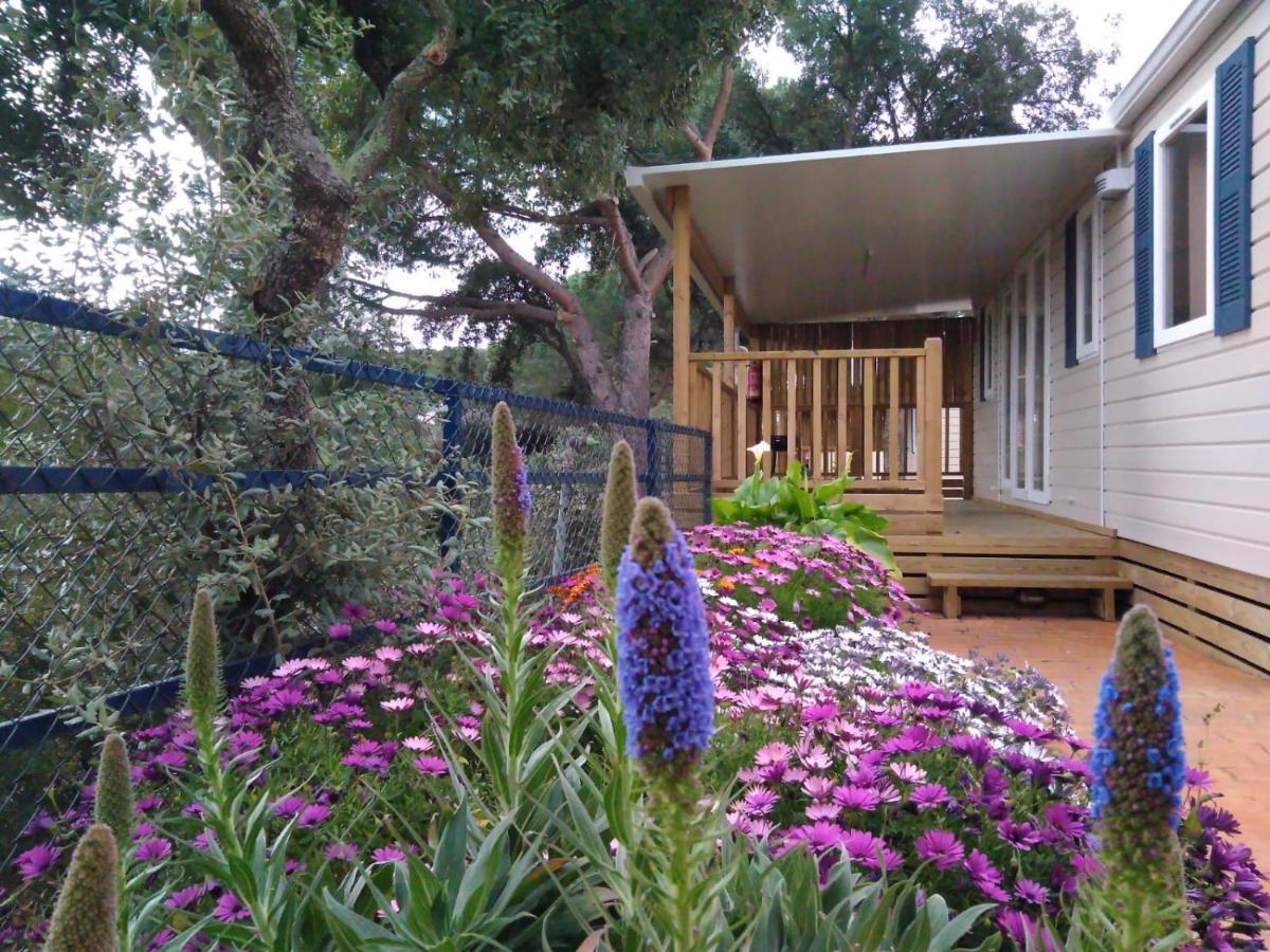קאללה Camping Roca Grossa מראה חיצוני תמונה