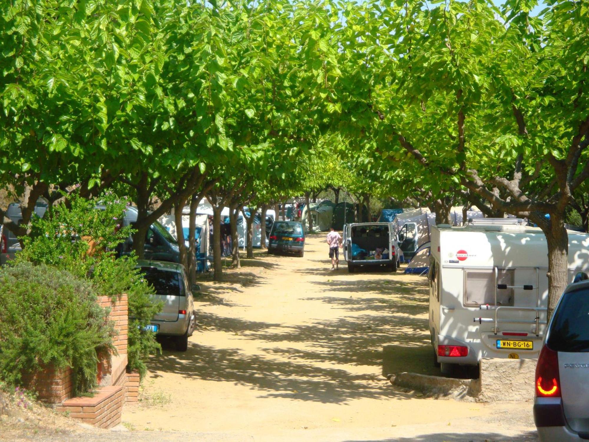 קאללה Camping Roca Grossa מראה חיצוני תמונה