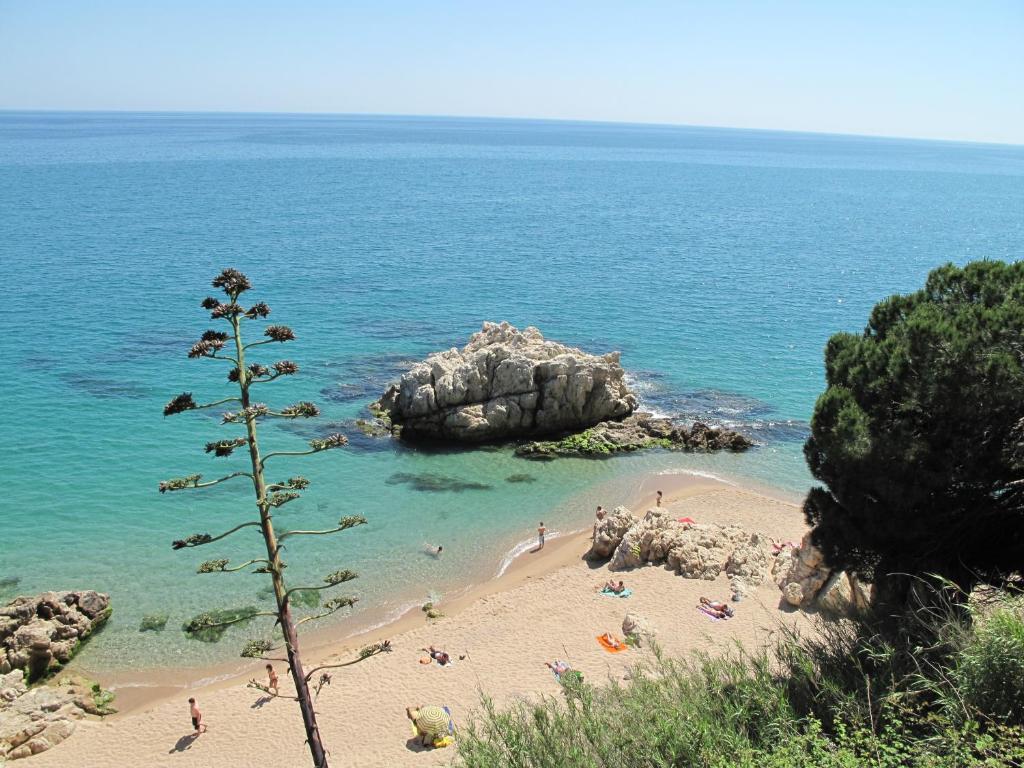 קאללה Camping Roca Grossa מראה חיצוני תמונה